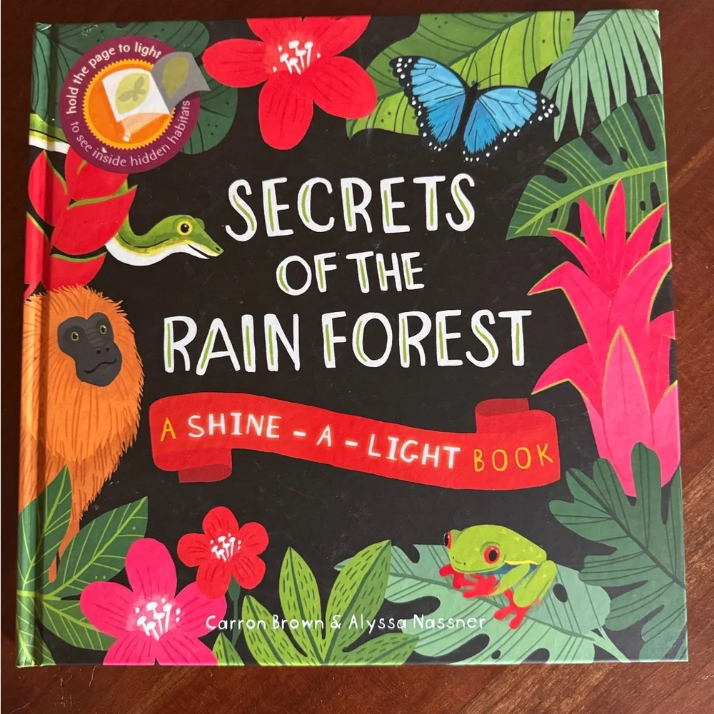 Usborne Shine a Light + Natl Geographic Book Bundle | Homeschool Science | 3 Bks - Picture 6 of 7